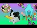 Chubby Puppies Boston Terrier Hop and Waddle ...