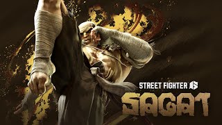 [情報] 快打旋風6DLC 沙卡特 實機遊玩PV