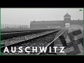 AUSCHWITZ: The Complete DISTURBING Tour | WARNING: Actual footage