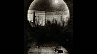 White Willow - The book of love