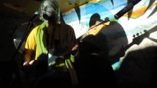 Tomorrows Tulips - Baby