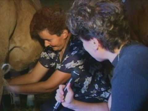 Da li će biti uspešna