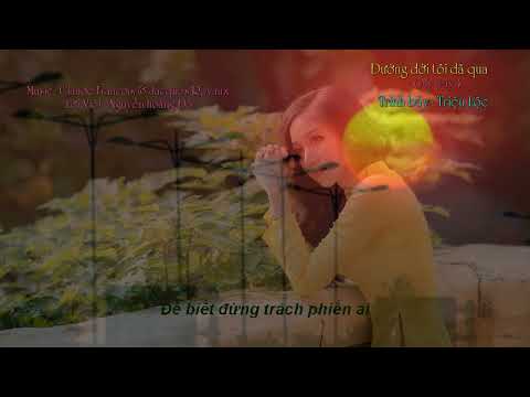 Đường đời tôi đã qua (My way) - Triệu Lộc