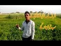 Pakistani Funny Singer 2020