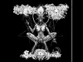 Mütiilation - The Bitter Taste Of Emotional Void 
