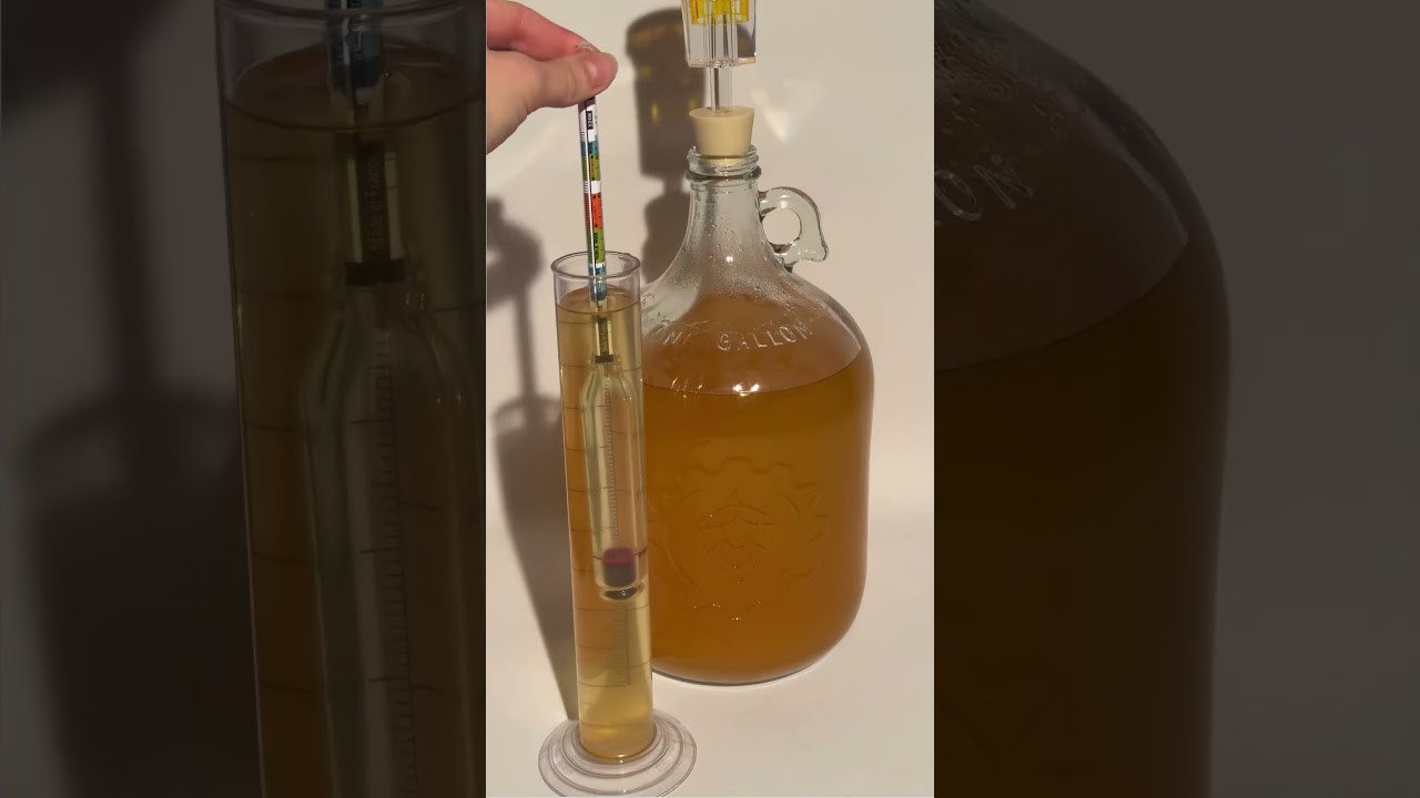 How To Use a Hydrometer To Calculate ABV