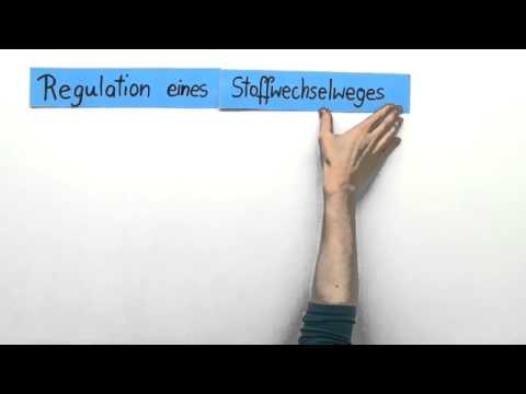 Genregulation bei Prokaryoten | Biologie | Genetik