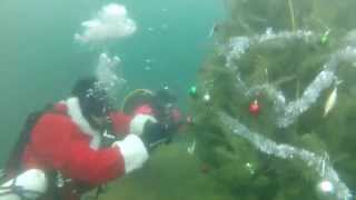 preview picture of video 'Christmas Tree Decoration - Scuba Style!'