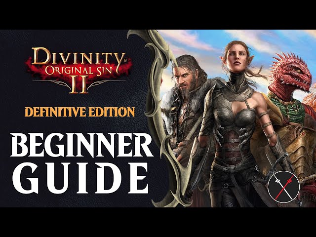 Divinity: Original Sin 2