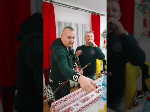 Crișan Călin și Vasilică Ceterasu