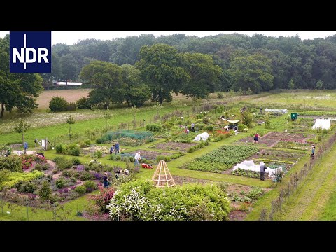 Gemeinsam gärtnern   | Die Nordreportage | NDR