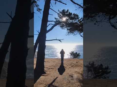 Recorriendo el Bosque Encantado de #Horcon en la comuna de #Puchuncavi #Quintaregion