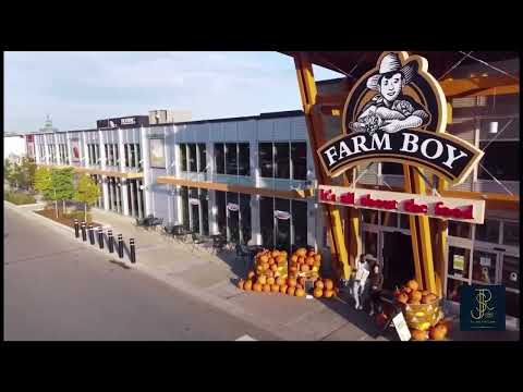 First Home by Daniels in Pickering - Towns starting from $584,900*