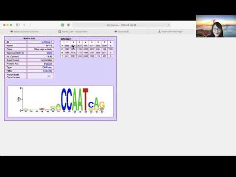2021 STAT115 Lab5.3 TF Motif Finding Tutorial