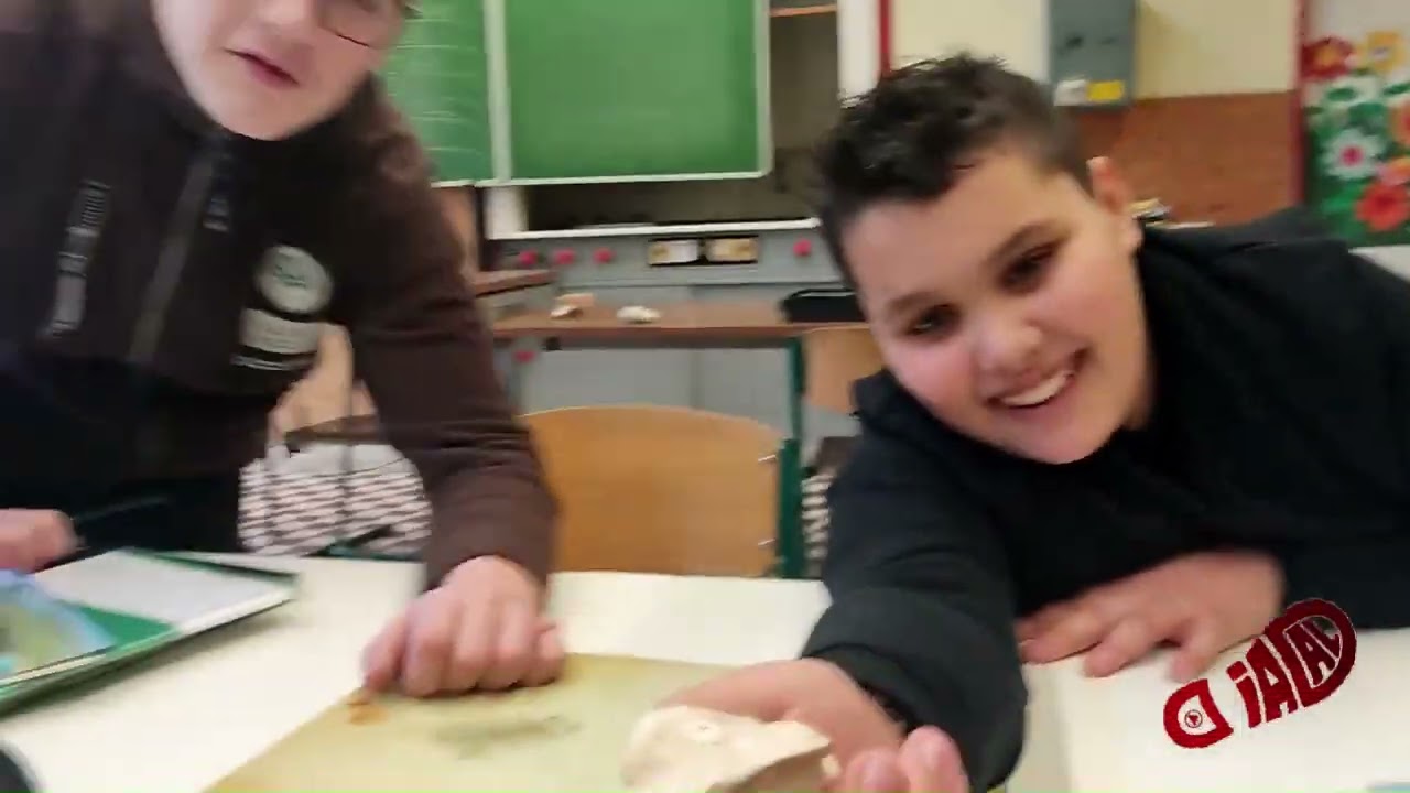 Laborfoglalkozás 6.a 2023.01.