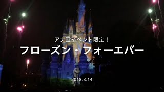 【フローズン・フォーエバー】アナ雪イベントのクライマックス！シンデレラ城のプロジェクションマッピング！シンデレラ城前 2018.3.14 TDL