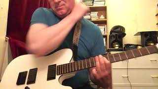 ZZ Top - woke up with wood guitar cover