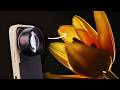 Moment Macro II Lenses - 10x vs 75mm Explained!