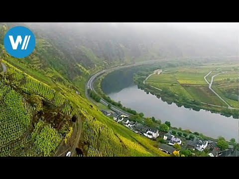 Zauberhafte Mosel (360° - GEO Reportage)
