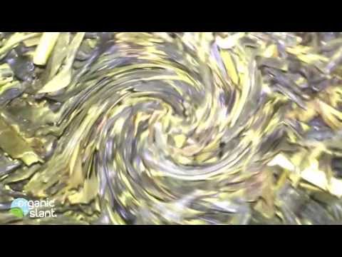 download lagu mp3 mp4 Australian Grown Organic Green Tea, download lagu Australian Grown Organic Green Tea gratis, unduh video klip Australian Grown Organic Green Tea