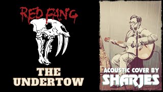 Red Fang - Undertow [simplified acoustic cover]