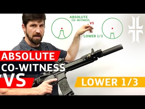 Absolute Co-witness vs. Lower 1/3 Sights