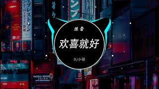 Download lagu 陈雷 - 欢喜就好(Dj小锦 ProgHouse Rmx 2023) mp3