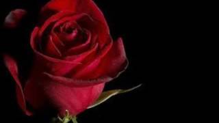 The Dells ~  &quot; Could It Be &quot; ❤️ 1977