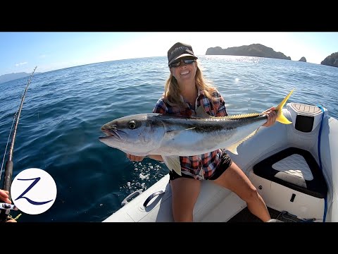 DEEP SEA FISHING NEW ZEALAND: Yellowtail Kingfish, John Dory (Ep 114)