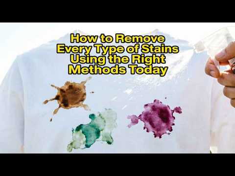 How to Remove Every Type of Stains Using the Right Methods Today