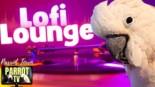 Lofi Lounge | Relaxing Lofi Beats for Birds to Chill to | Parrot Music TV for Your Bird Room🎧
