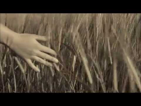 Lieze Stassen - Bokkie