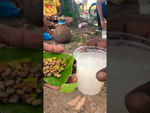 Toddy / Thaati Kallu 🌴💦 #shorts #natural #water #toddy #streetfood #telangana