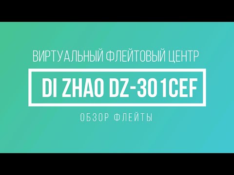 Флейта Di Zhao DZ 301CEF (обзор модели)