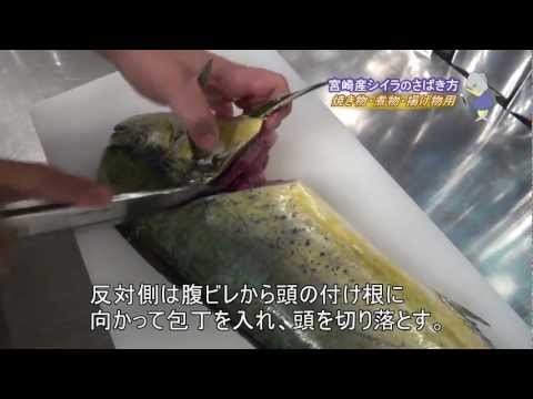 シイラの刺身の味！食中毒・毒・寄生虫の危険性、さばき方・食べ方も | 食生活研究所 -食☆ラボ-