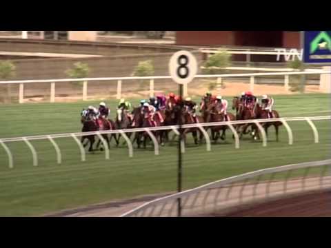 2008 Emirates Stakes - All Silent