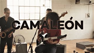 Video Camaleón de Mateo 