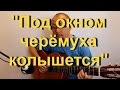 Под окном черёмуха колышется (на гитаре)| Александр Фефелов 