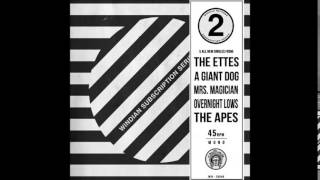 Mrs Magician - Crosses