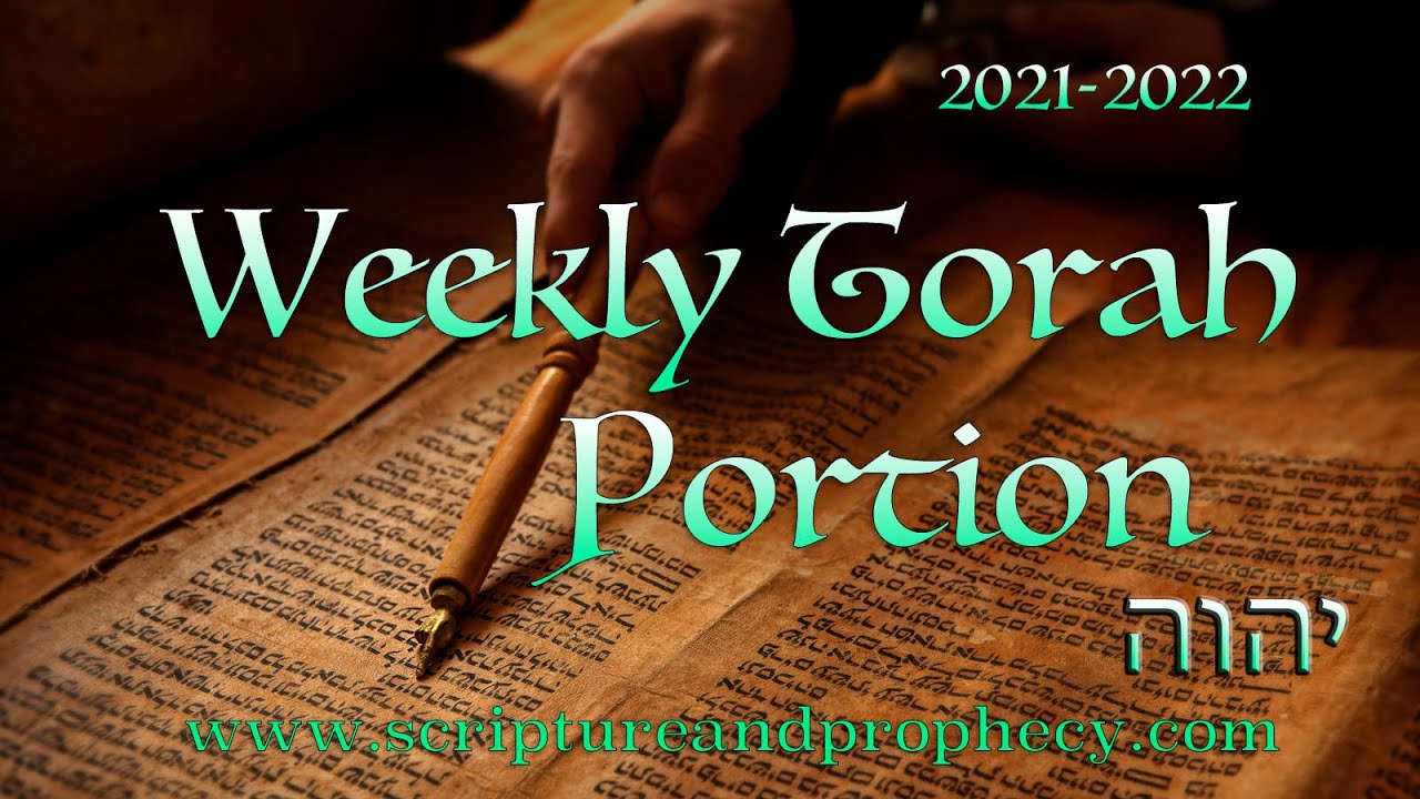Torah Portion - Week 1 - B'reisheet (In The Beginning): Genesis 1–6:8