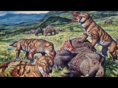 ❖Clash Of The Creatures: Battle #1- Hyaenodon VS Cynognathus❖