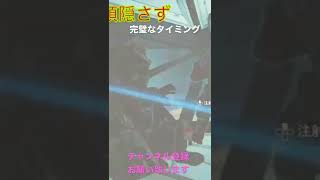 【APEX】お尻隠して頭隠さず