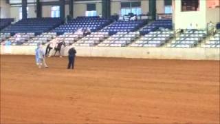 The King's Reward - Western Trail Pleasure