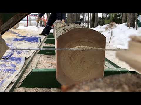 How to mill logs with bandsaw mill for pennies