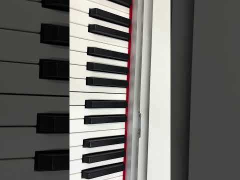 фото цифровое пианино  0