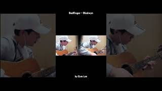 Badfinger - Blodwyn #badfinger #acousticcover #lovesong #countryrock