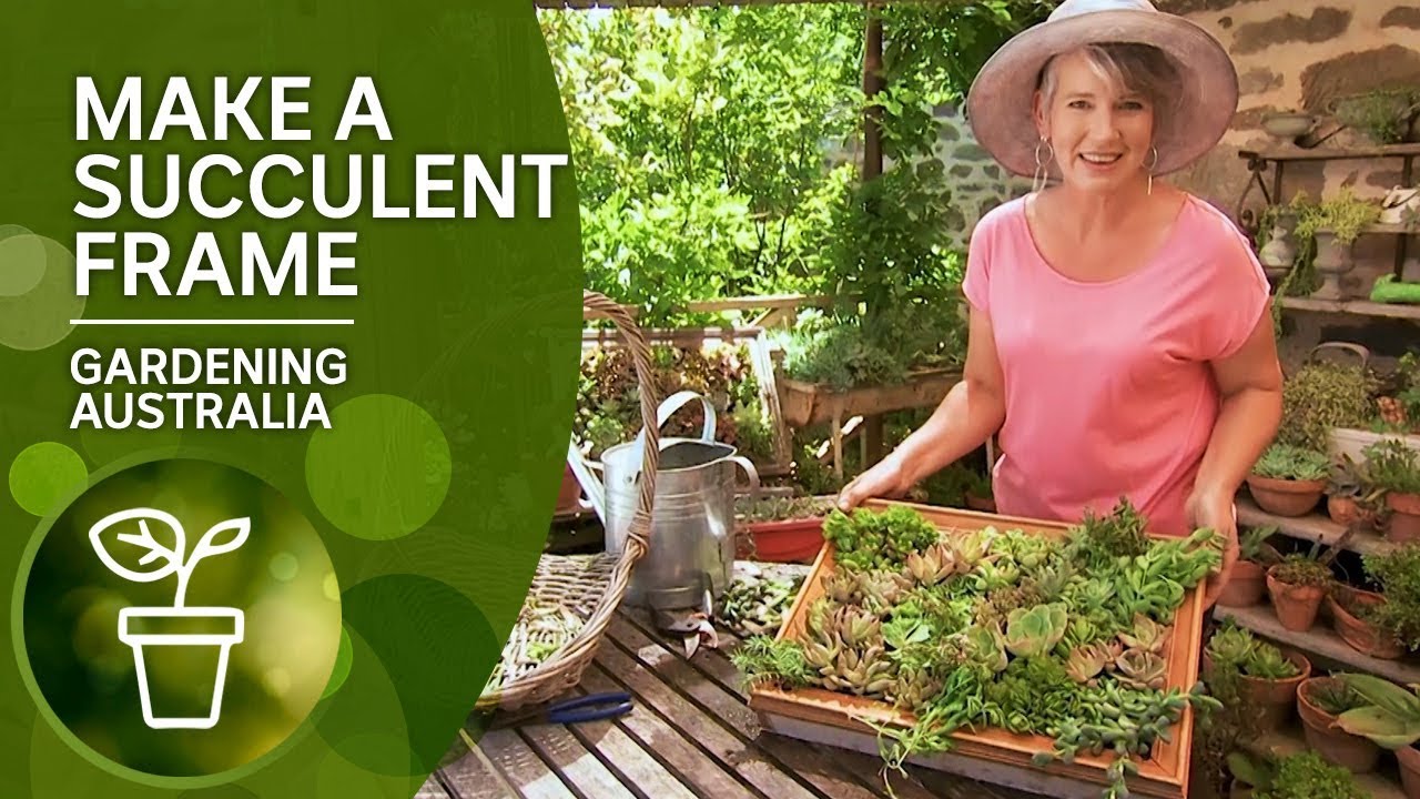 Make a vertical succulent frame