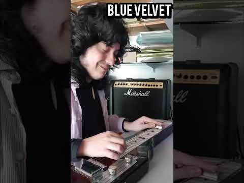 BLUE VELVET - BERNIE WAYNE AND LEE MORRIS  #bluevelvet #ballad #lapsteelguitar #guitar