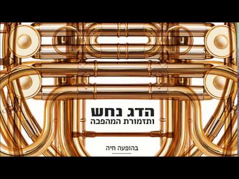 הדג נחש ותזמורת המהפכה מארחים את אפרת אשכנזי  - אין לי אף אחד