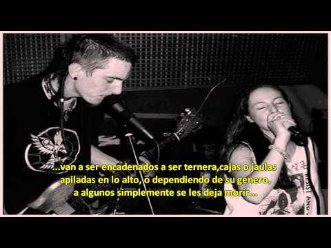 Contravene In The Name Of Convenience Subtitulada (HD).